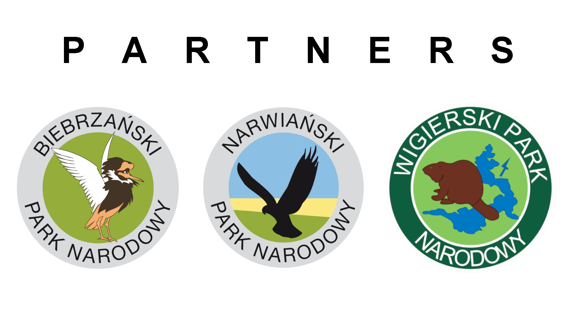partners