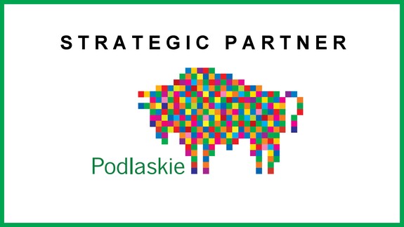 Strategic Partner